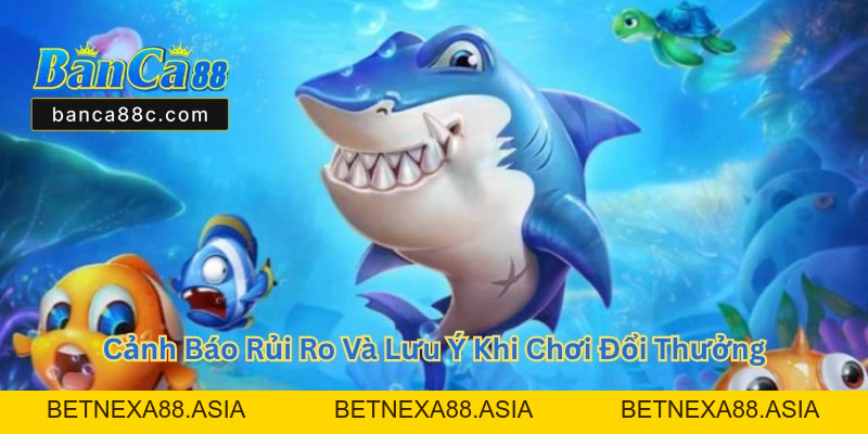 Xì Dách Banca88 - Trải Nghiệm Game Bài Đổi Thưởng 2026 - betnexa88