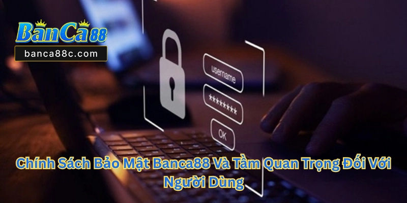 Chính Sách Bảo Mật Banca88 - An Toàn Thông Tin Người Dùng - betnexa88