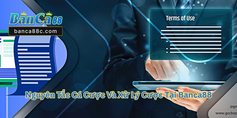 Điều Khoản Và Điều Kiện Banca88 - Cập Nhật Mới Nhất 2026 - betnexa88