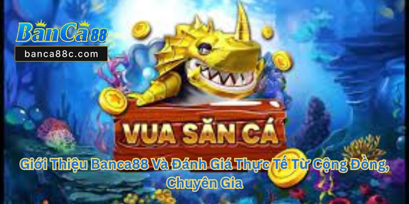 Giới Thiệu Banca88 - Nhà Cái Bắn Cá Uy Tín Dẫn Đầu Xu Thế - betnexa88