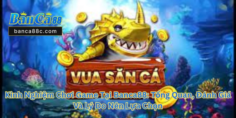 Kinh Nghiệm Chơi Game Tại Banca88 - Cách Chơi Thắng Lớn - betnexa88