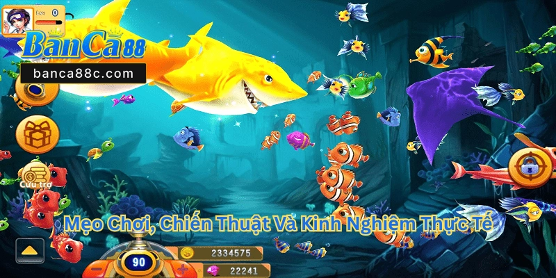 Nhị Gia Bắn Cá Banca88 - Mở Rộng Cơ Hội Thắng Lớn - betnexa88